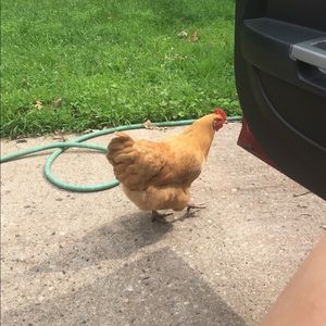 Meet your Posher, Maddie